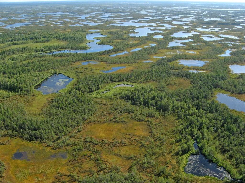 detecting peatland drains