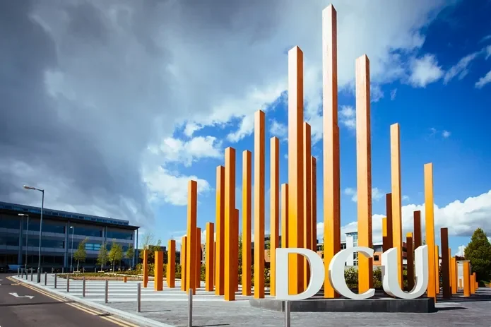 DCU representation in the 2017 All-Ireland Hurling Final