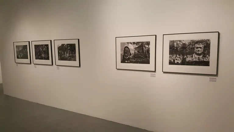 DCU lecturer curates major art exhibition in Mexico