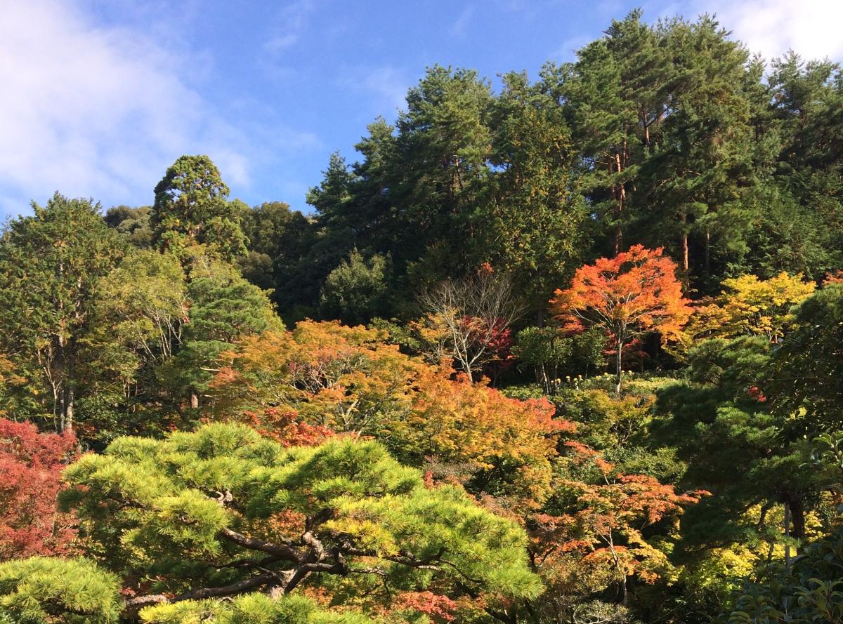 Japan 2018