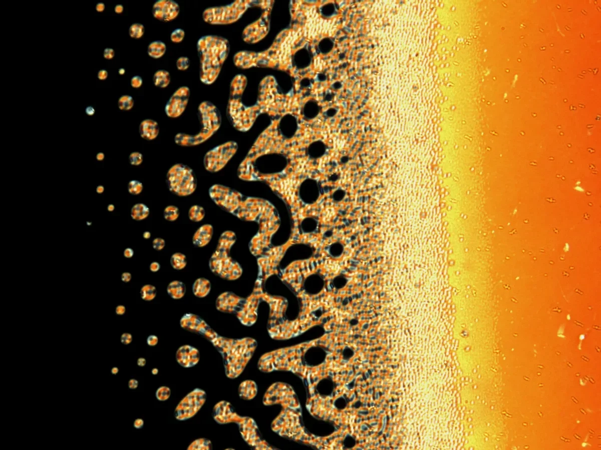 Liquid Crystal Seashore