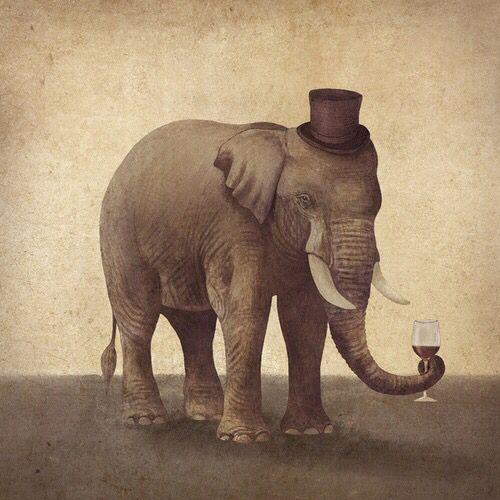 Elephant with hat