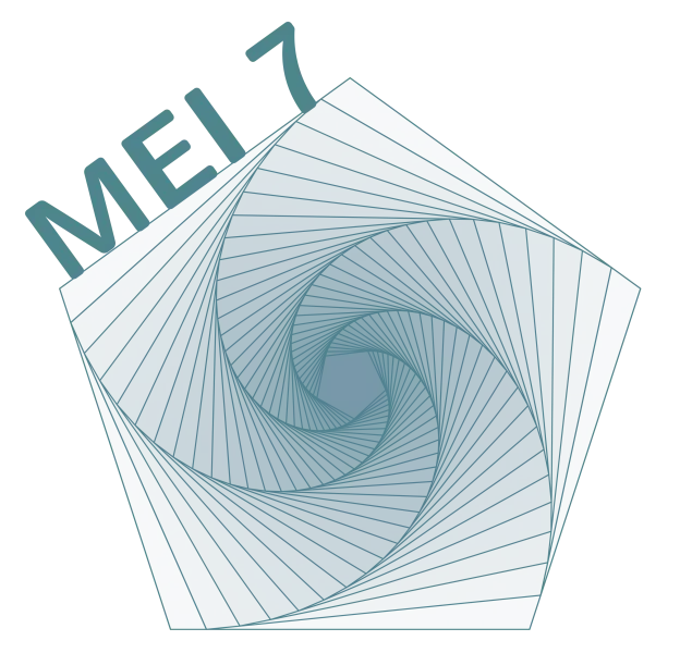 MEI 7 - Research in Mathematics Education in Ireland