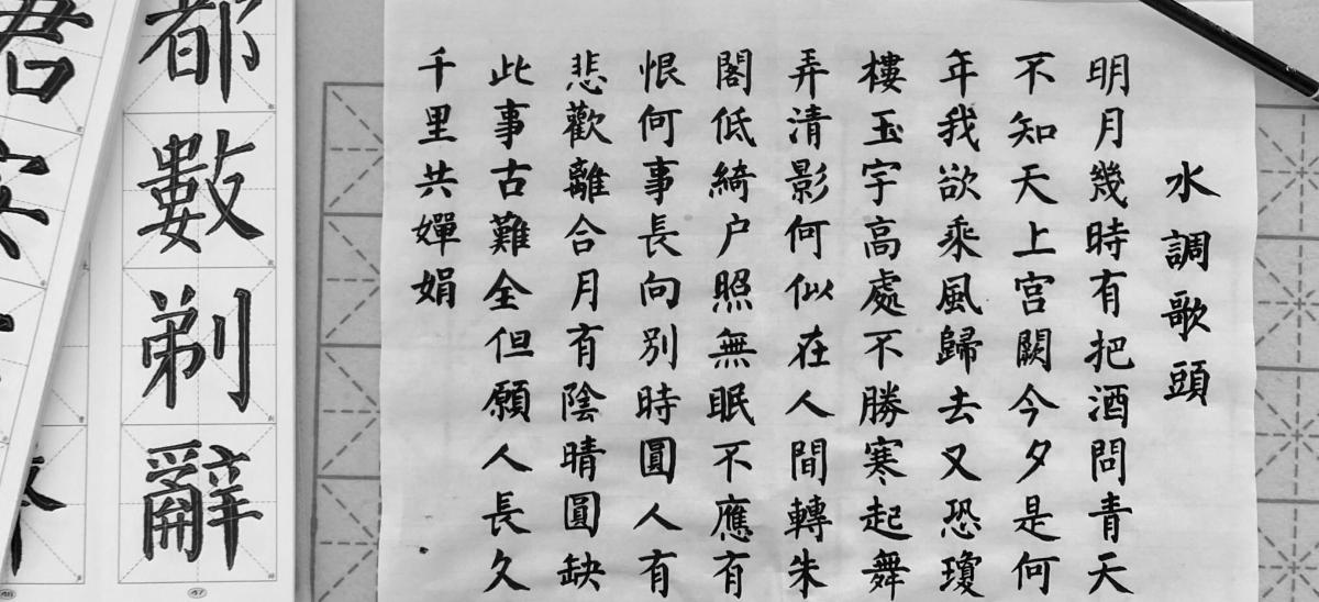 Handwriting or type: what's the future of learning Chinese?