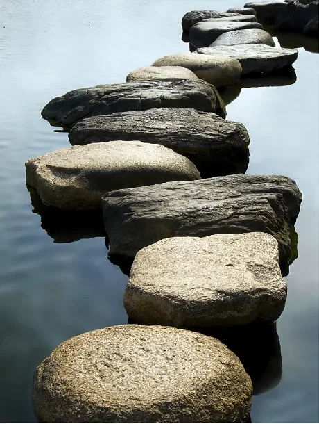 Mindfulness Wellbeing & Stress Reduction Practices