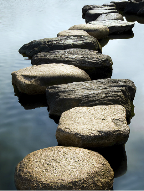 Mindfulness Wellbeing & Stress Reduction Practices