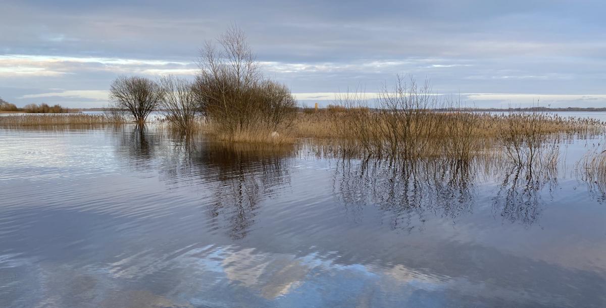Hudson Bay by Gareth Byrne