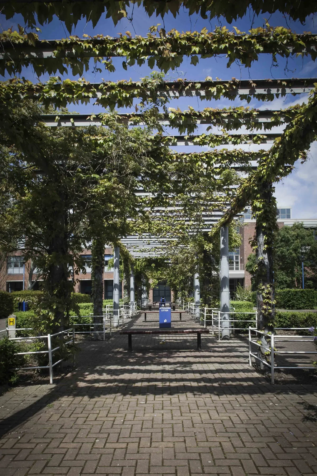 DCU Summer School 2020 - Building Resilience in Challenging Times