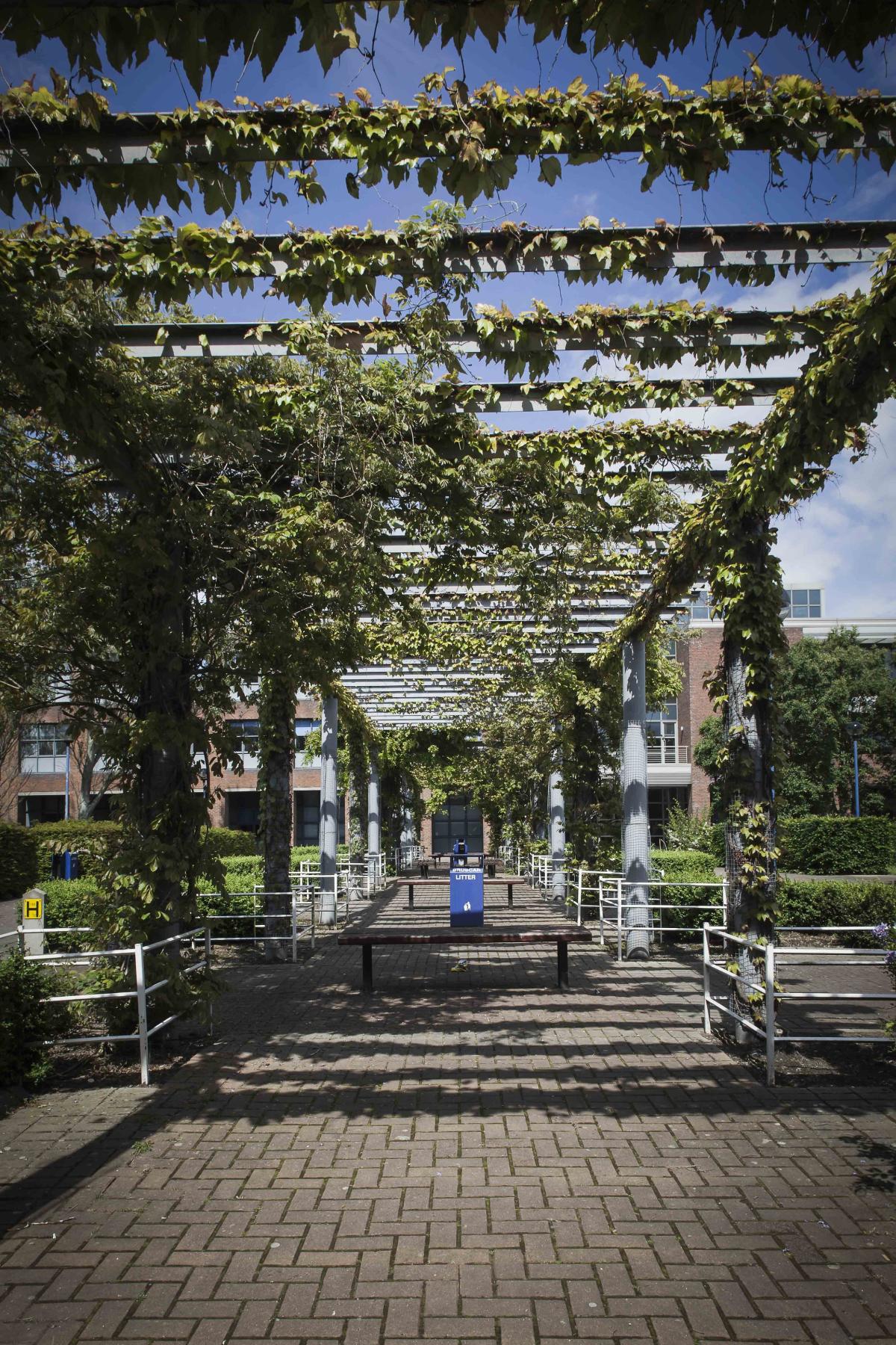 DCU Summer School 2020 - Building Resilience in Challenging Times