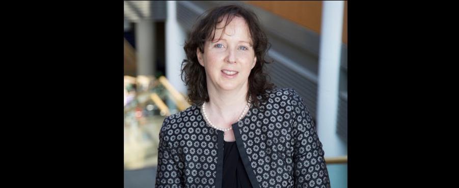 Professor Lisa Looney apoointed the new Vice President for Academic Affairs (Registrar) at DCU