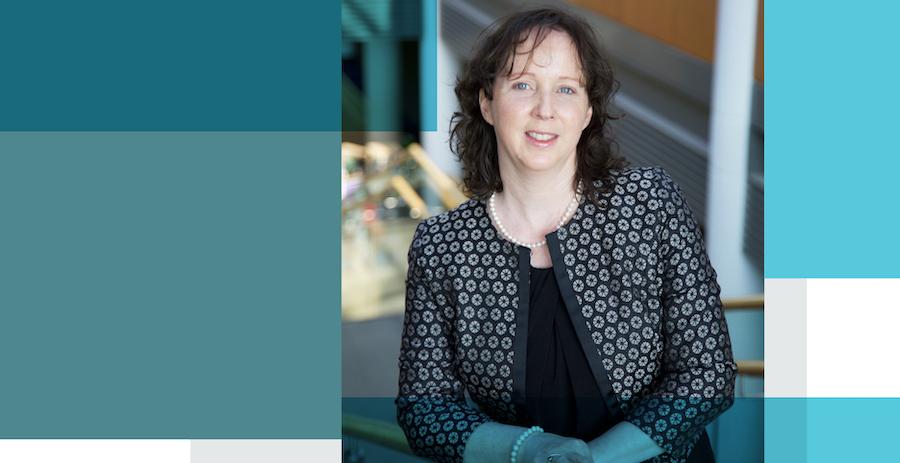 Professor Lisa Looney appointed as the new Vice President for Academic Affairs at Dublin City University