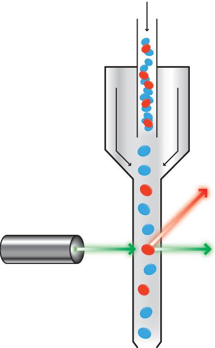 Diagram showing flow cyctometry