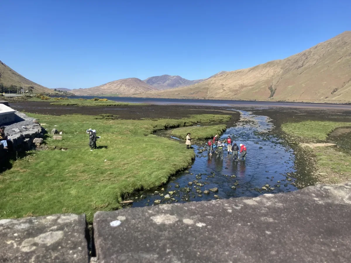 DCU’s BA in Climate and Environmental Sustainability