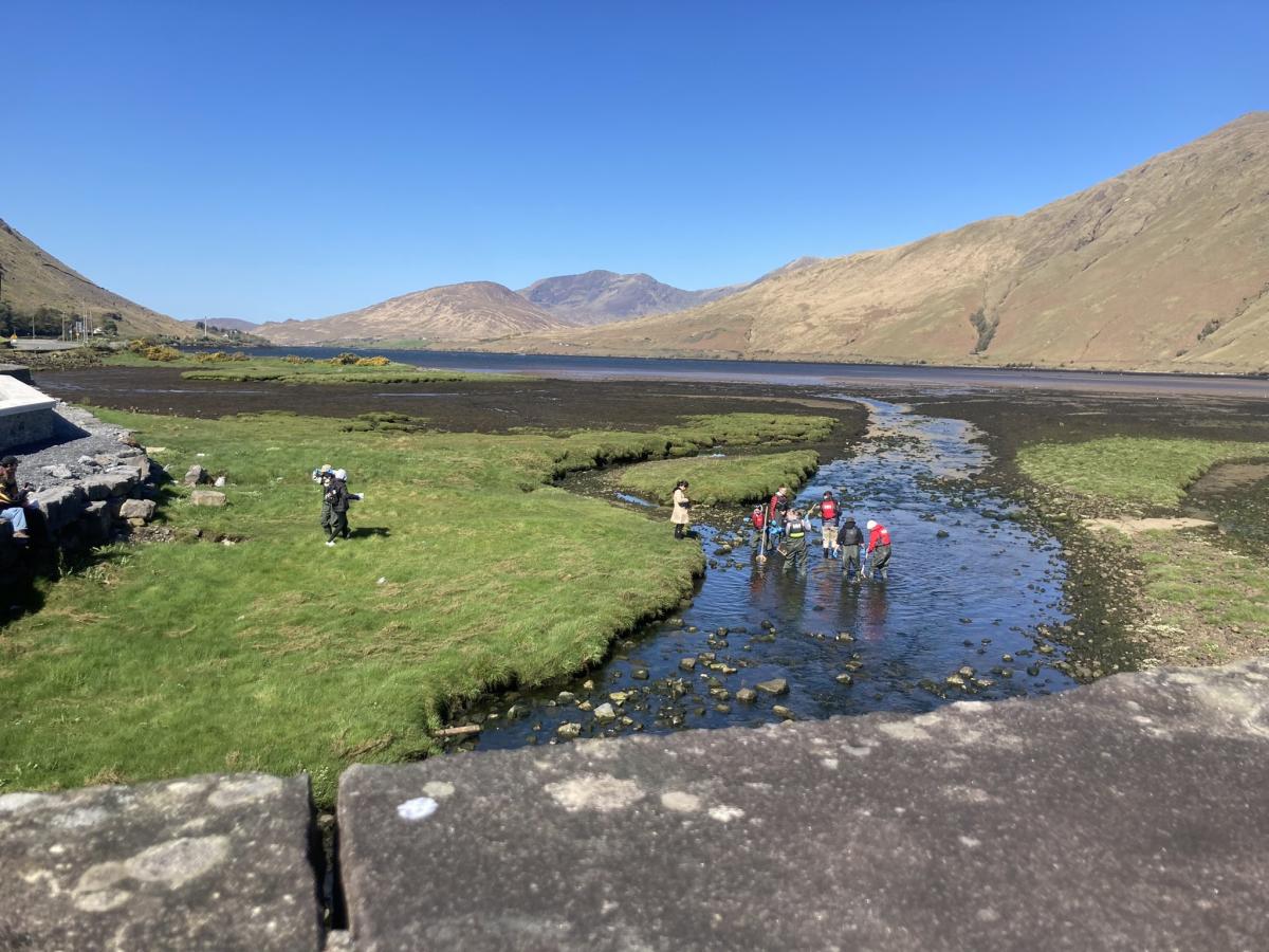 DCU’s BA in Climate and Environmental Sustainability