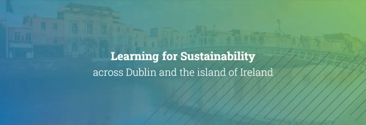 RCE Learning for Sustainability