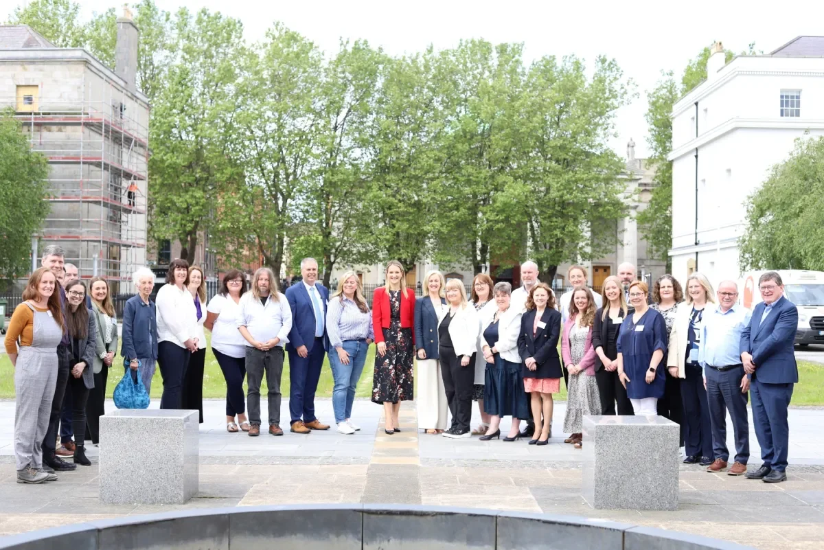 DEIS Advisory Group for New DEIS Action Plan