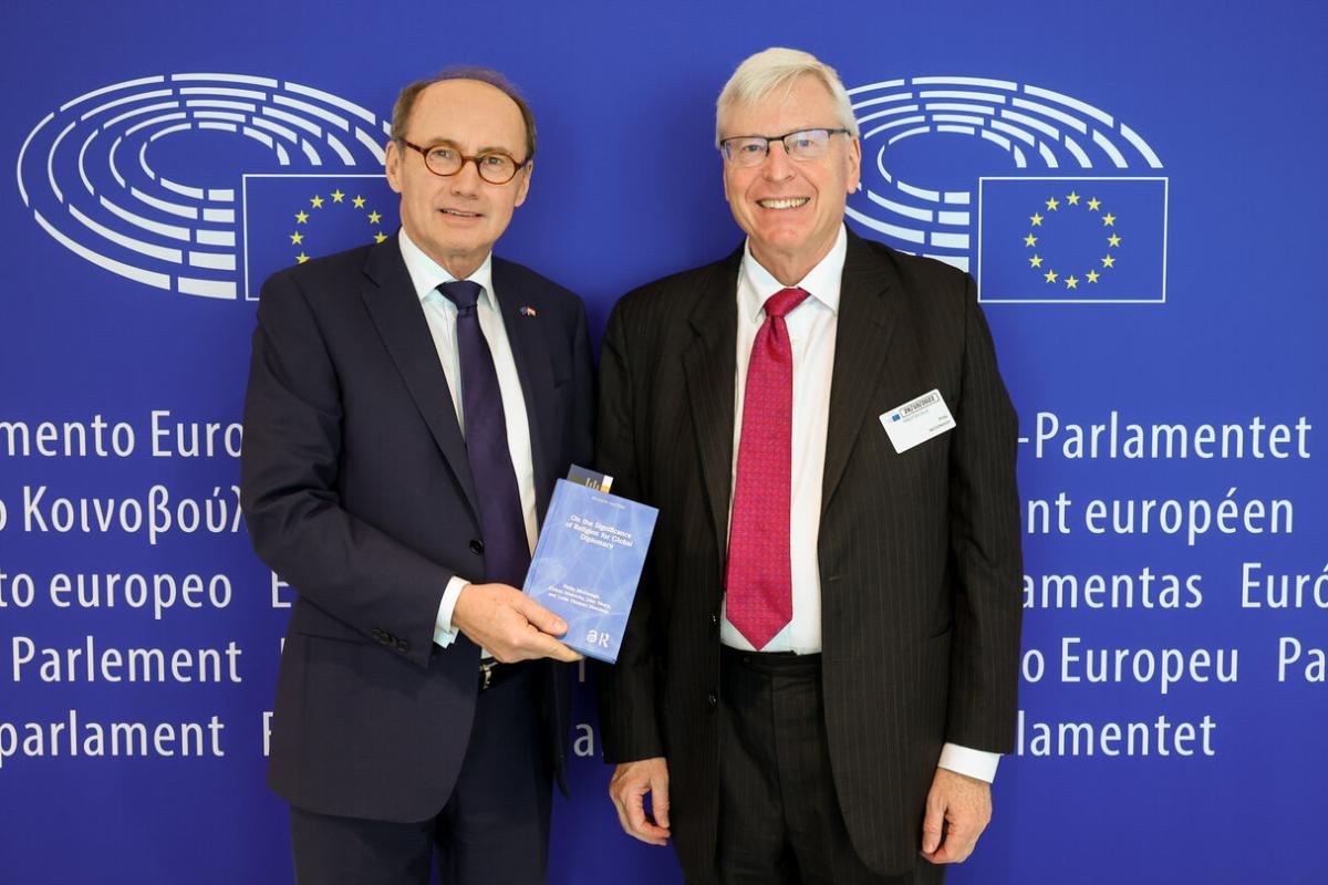 Meeting with First Vice-President Karas (photo credit: European Parliament)