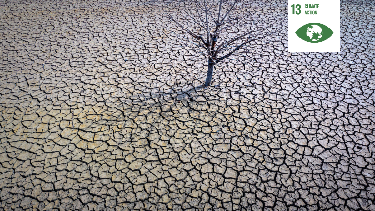 Shows a dead tree surrounded by cracked earth following prolonged drought with a white icon signifying UN Sustainable Development Goal 13