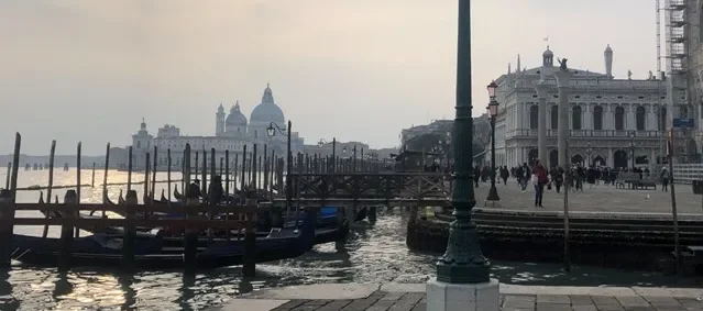 Shows gondolas and venetian square in background