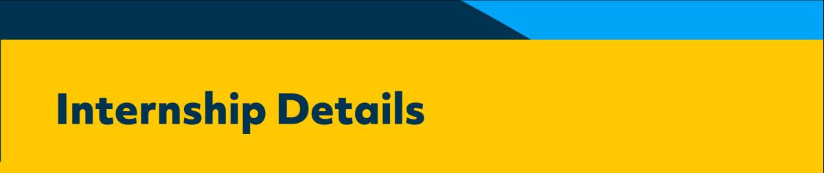 Shows yellow block with text that says Internship Details