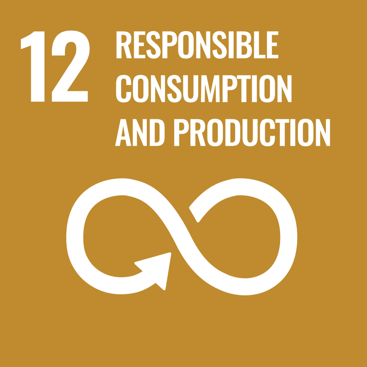 Shows UN SDG 12 Responsible Consumption and Production
