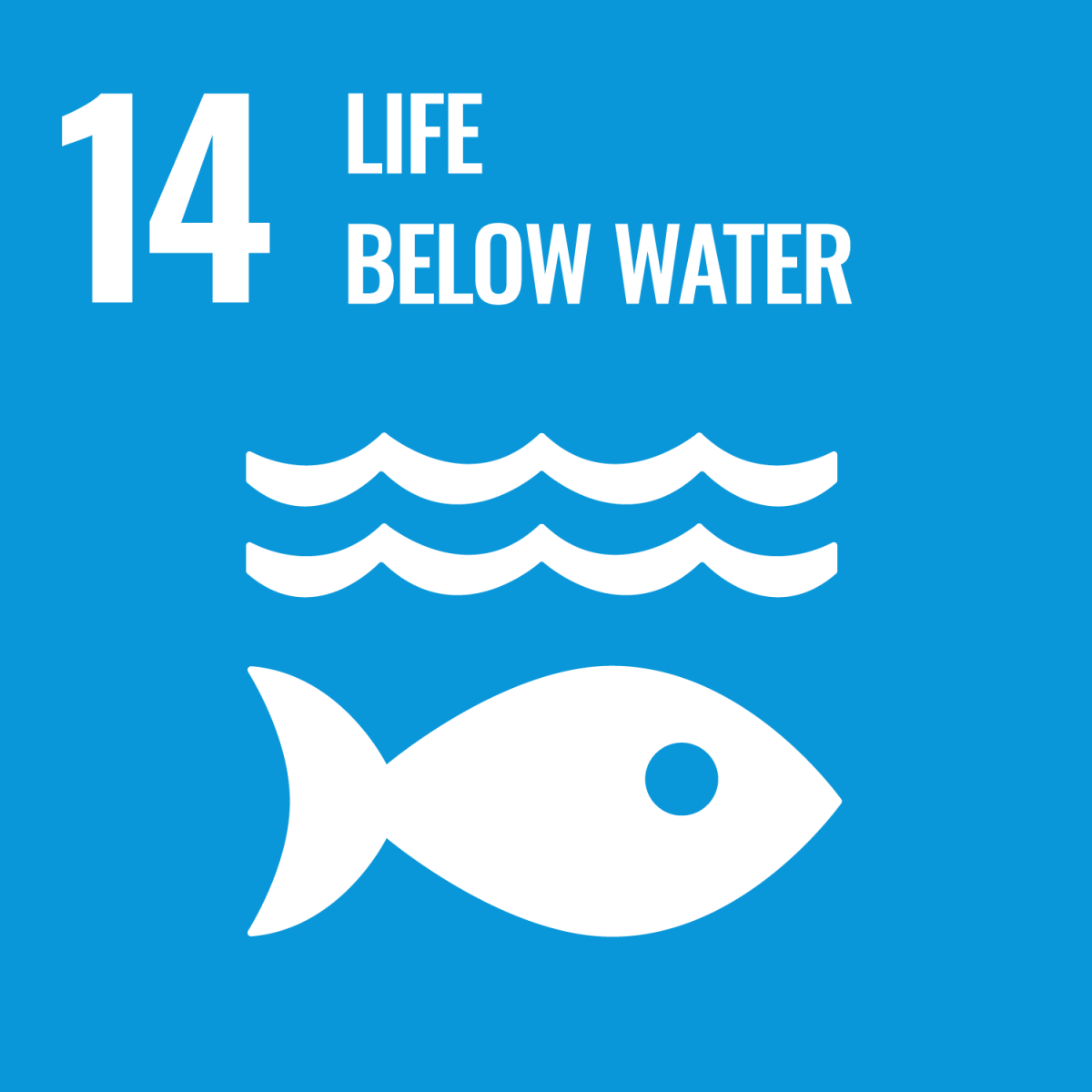 Shows UN SDG 14 - Life Below Water