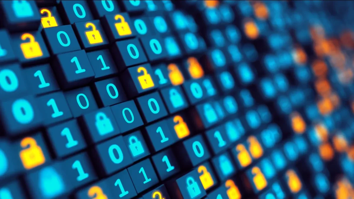 Shows image of coding