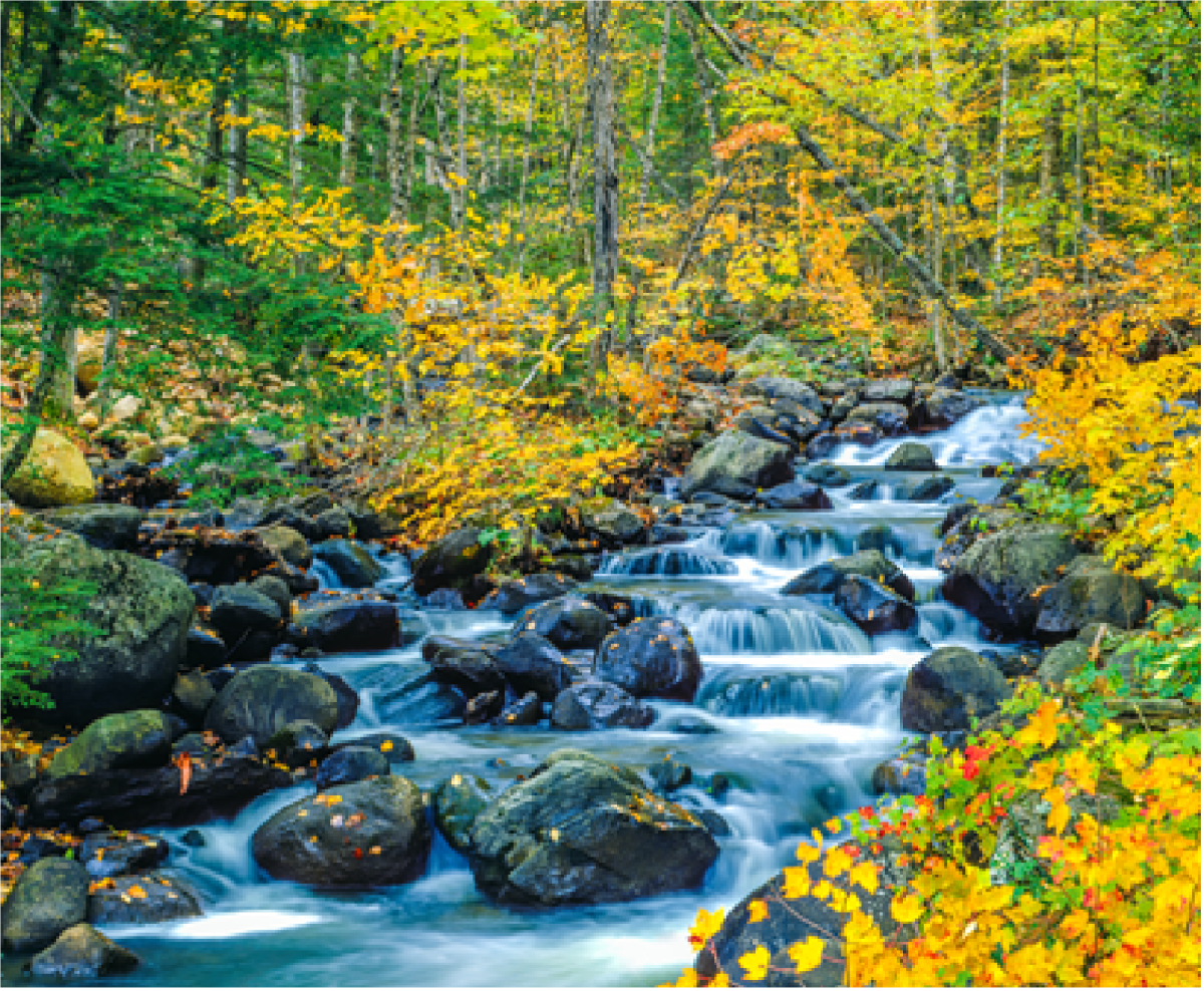 Mindfulness Based Stress Reduction Practices