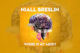 Niall breslin where is my mind