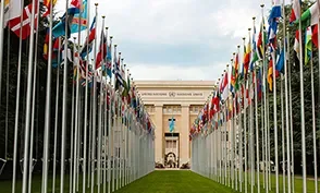 Flag of different countries UN members