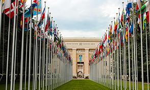 Flag of different countries UN members