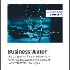DCU Water: Business Water