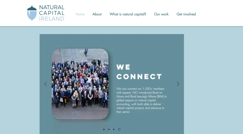 DCU Water: Natural Capital Ireland