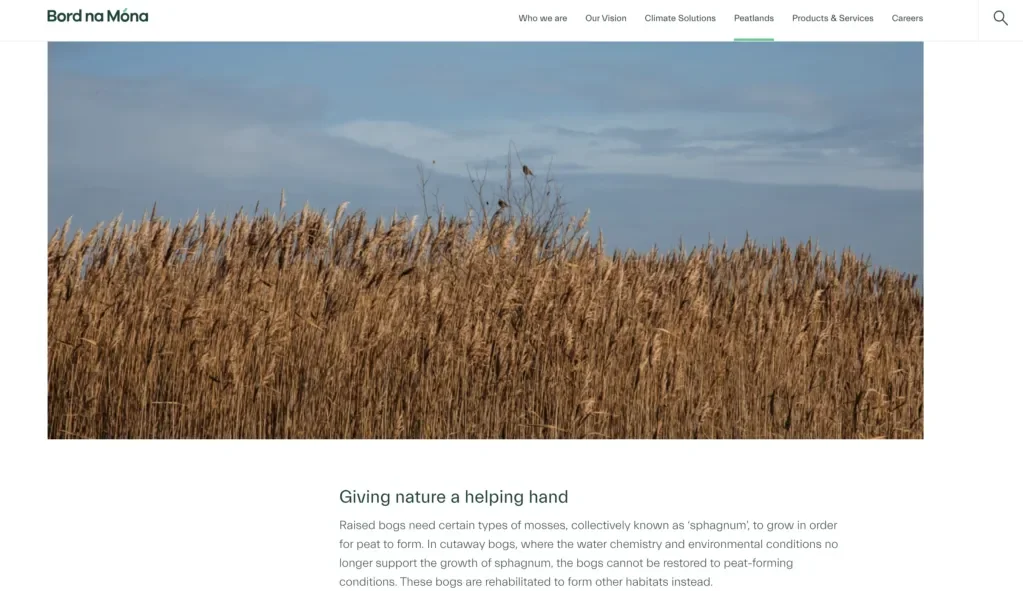 DCU Water: Peatlands Rehab