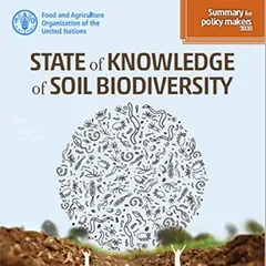 DCU Water: State of Knowledge Biodiversity of Soil