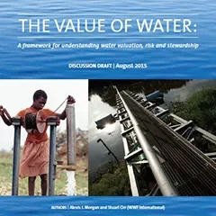 DCU Water: The Value of Water