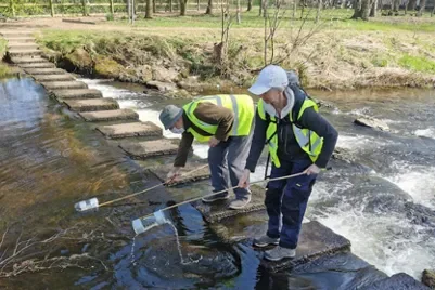 Centennial Citizen Science project continues its success in Mountrath, Co. Laois
