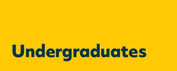 CAO Undergraduate 2022