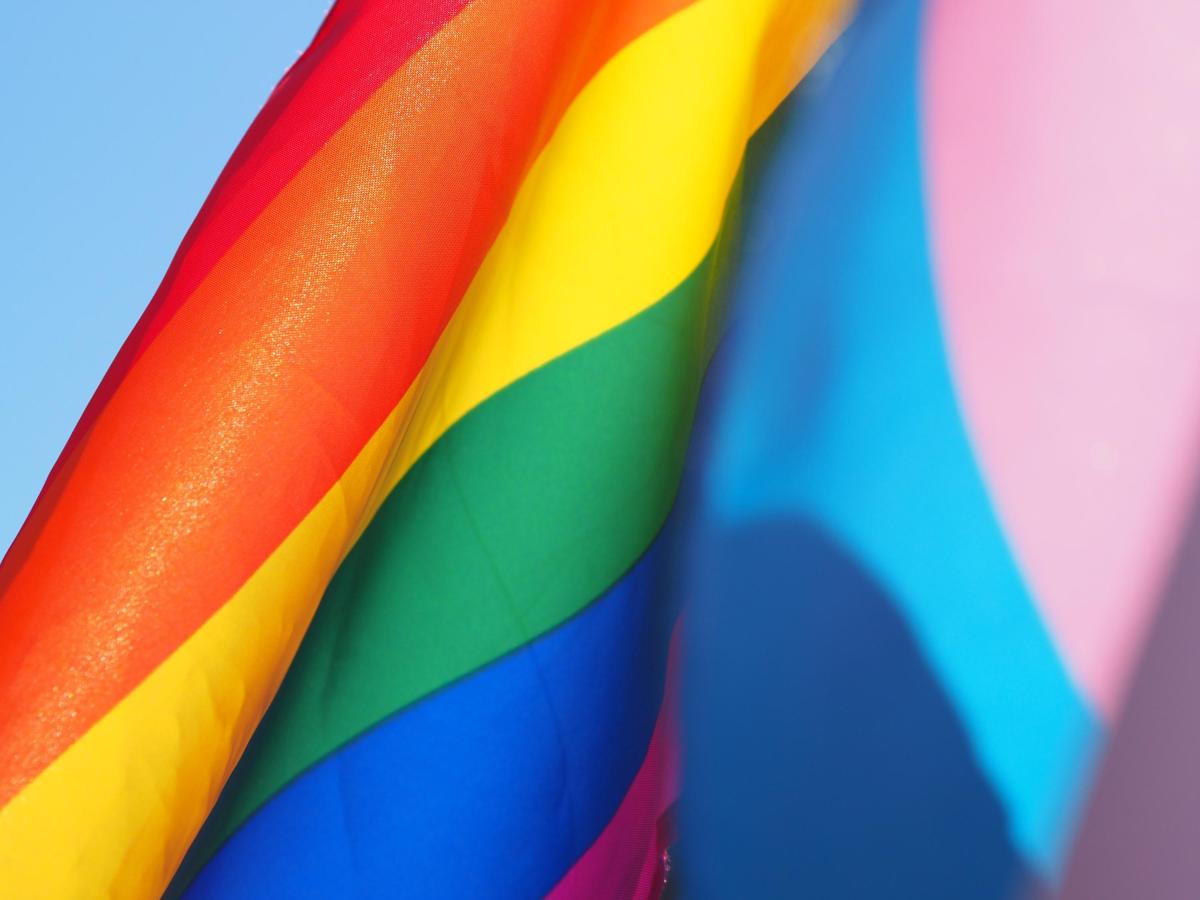 A LGBTQ+ Pride Flag and a Trans Pride Flag