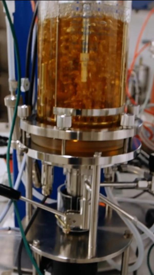 Bioreactor