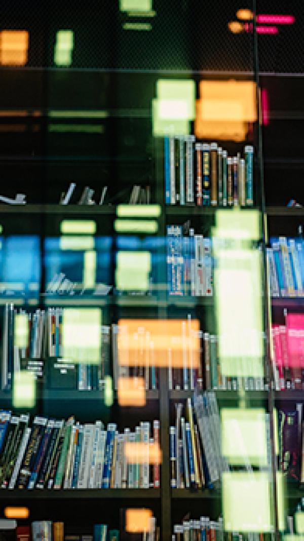 Library shelf