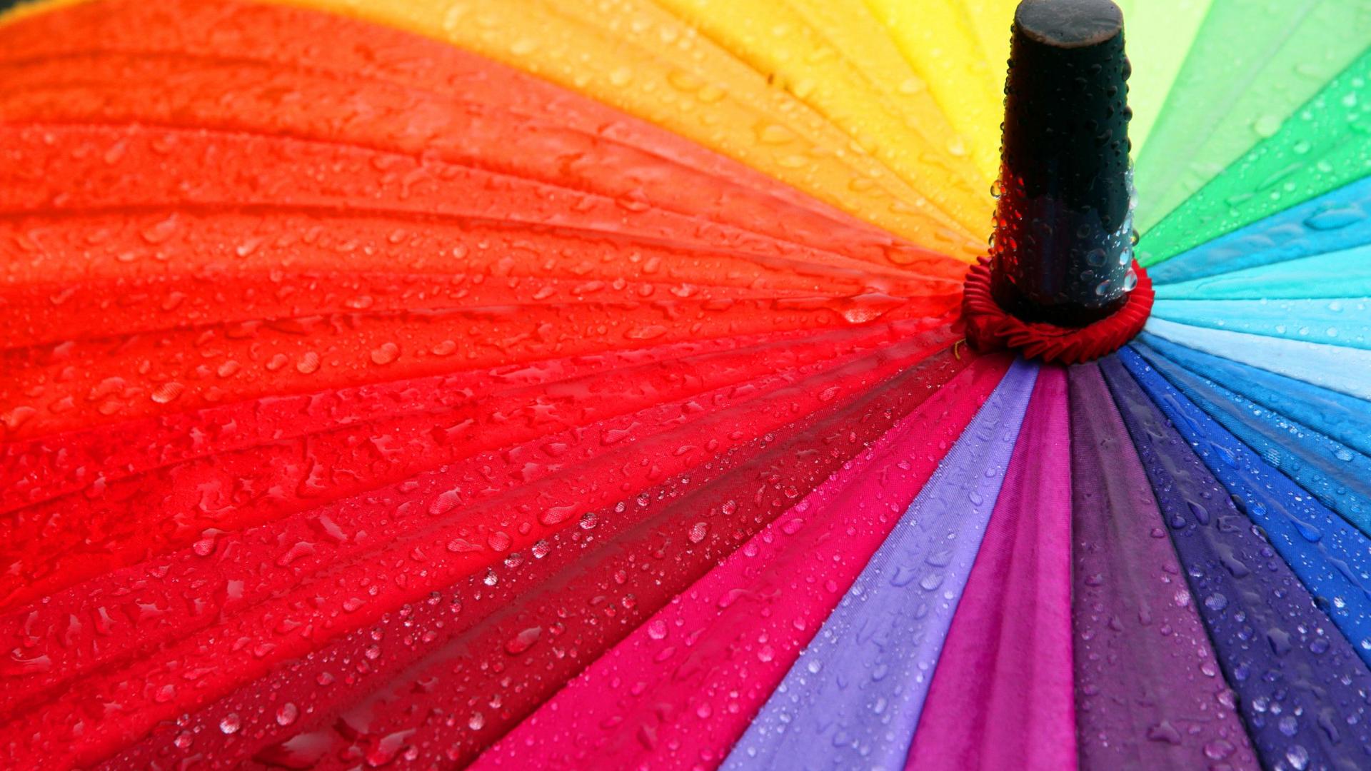 Intersex Umbrella