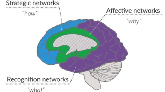 UDL framework logo what why and how of learning 