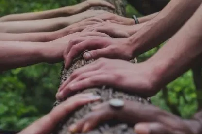 Hands on tree trunk