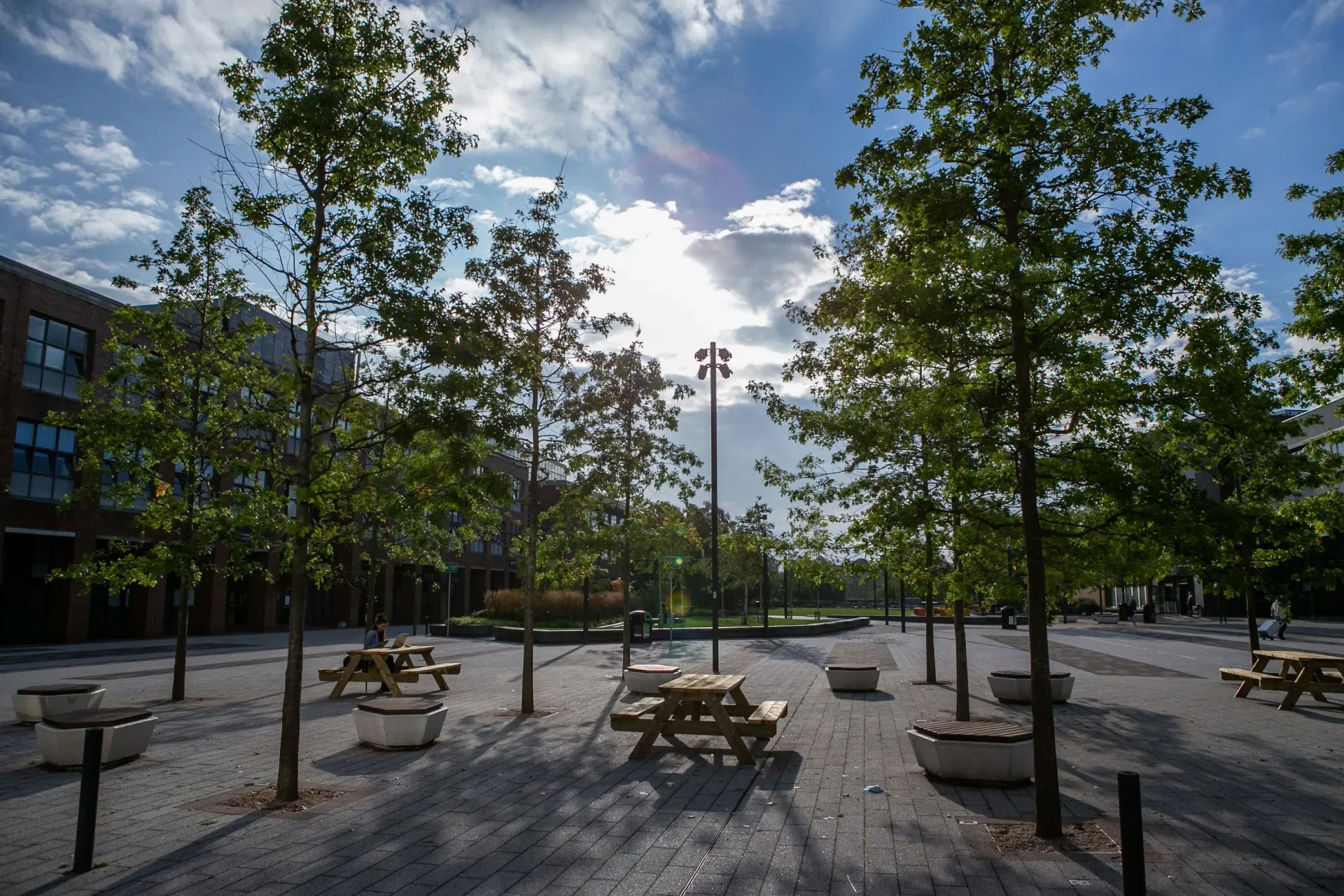Opportunity for post-doctoral researcher