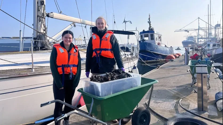 DCU Students Retrieve Marine Mesocosm for Contaminant Study in Dublin Bay