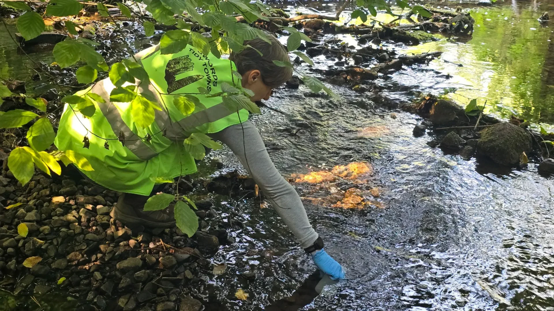 The Importance of Citizen Scientists in Safeguarding Our Water