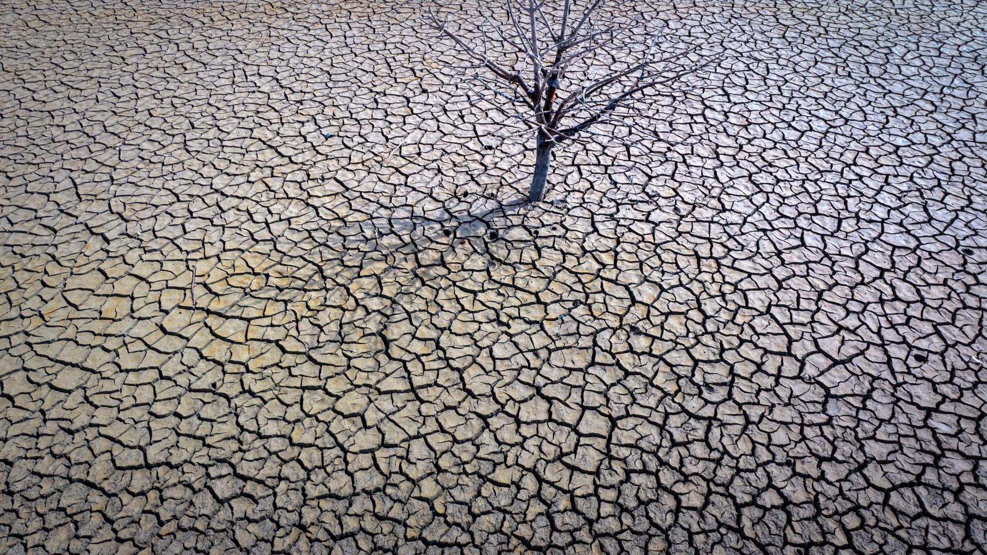 Research Blog: Unimaginable scale