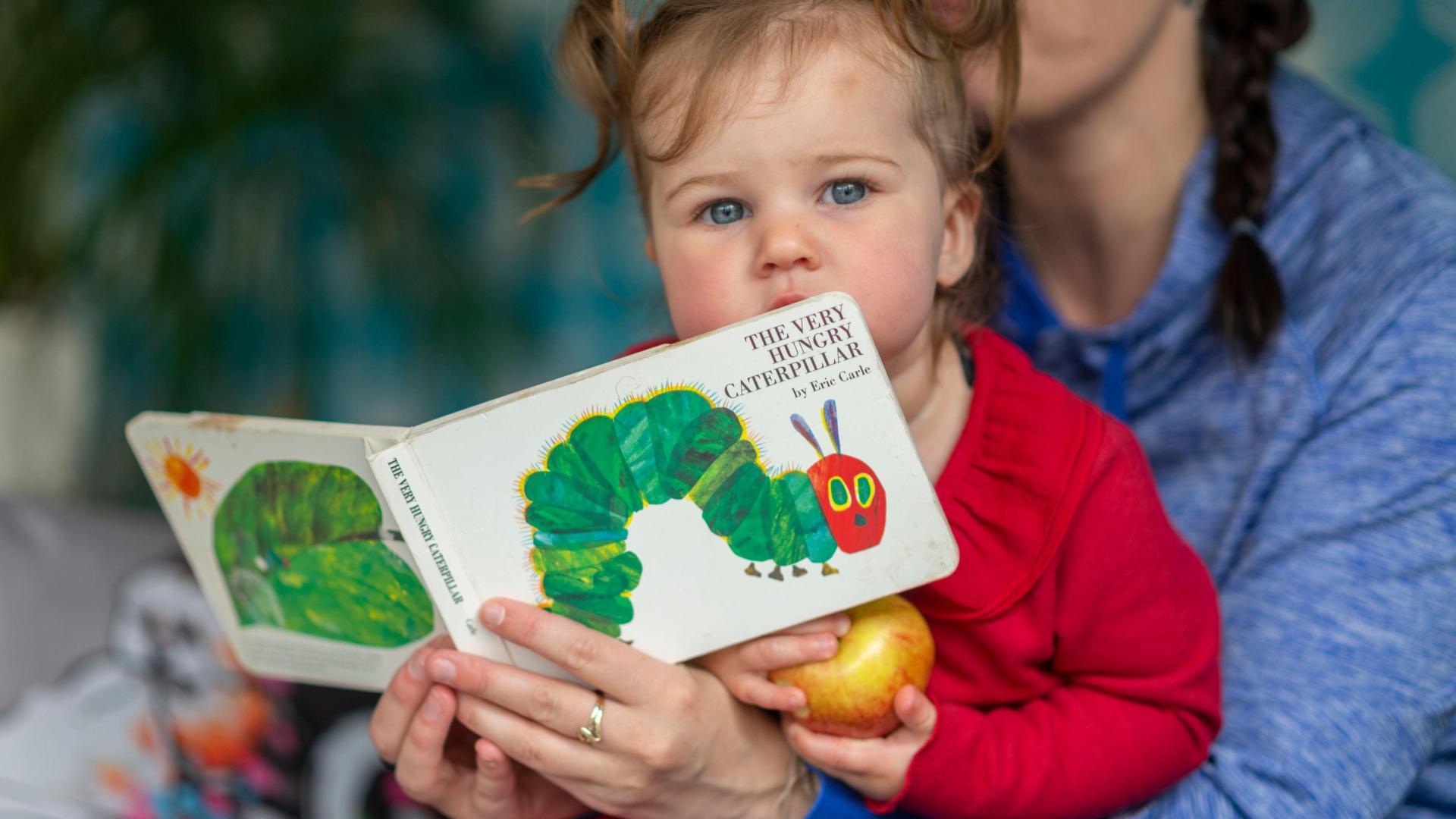 Research Blog: Do home literacy practices in early childhood predict later language and literacy skills?