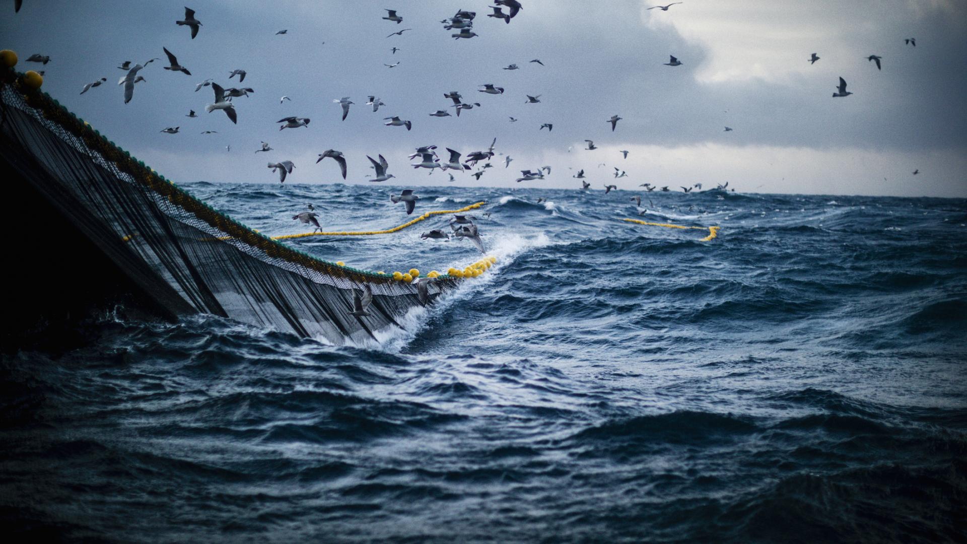 Research Blog: Demystifying the Ocean